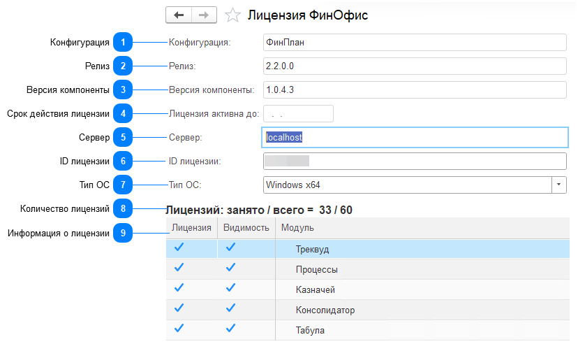 3.7.1. Форма лицензии ФинОфис
